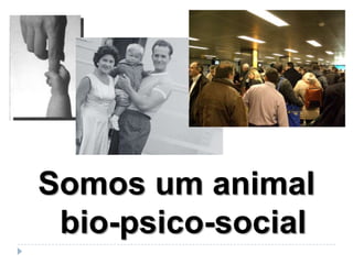 Somos um animal
 bio-psico-social
 