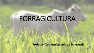 FORRAGICULTURA
Professor Zootecnista Joilson Echeverria
 