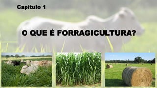 O QUE É FORRAGICULTURA?
Capítulo 1
 