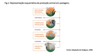 Fig.1: Representação esquemática da produção animal em pastagens.
Fonte: Adaptado de Hodgson, 1990.
 