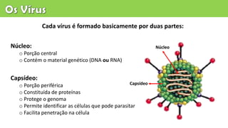 Cada vírus é formado basicamente por duas partes:
Núcleo:
o Porção central
o Contém o material genético (DNA ou RNA)
Capsídeo:
o Porção periférica
o Constituída de proteínas
o Protege o genoma
o Permite identificar as células que pode parasitar
o Facilita penetração na célula
Núcleo
Capsídeo
 