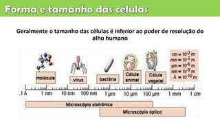 Geralmente o tamanho das células é inferior ao poder de resolução do
olho humano
 