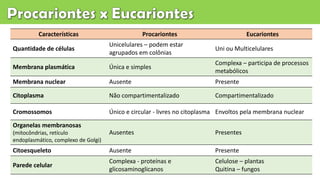 Características Procariontes Eucariontes
Quantidade de células
Unicelulares – podem estar
agrupados em colônias
Uni ou Multicelulares
Membrana plasmática Única e simples
Complexa – participa de processos
metabólicos
Membrana nuclear Ausente Presente
Citoplasma Não compartimentalizado Compartimentalizado
Cromossomos Único e circular - livres no citoplasma Envoltos pela membrana nuclear
Organelas membranosas
(mitocôndrias, retículo
endoplasmático, complexo de Golgi)
Ausentes Presentes
Citoesqueleto Ausente Presente
Parede celular
Complexa - proteínas e
glicosaminoglicanos
Celulose – plantas
Quitina – fungos
 