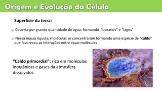 o Coberta por grande quantidade de água, formando “oceanos” e “lagos”
o Nessa massa líquida, moléculas se concentraram formando uma espécie de "caldo"
que favoreceu as interações entre essas moléculas
“Caldo primordial”: rico em moléculas
inorgânicas e gases da atmosfera
dissolvidos
Superfície da terra:
 
