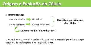 o Polimerização:
o Aminoácidos Proteínas
oNucleotídeos Ácidos nucleicos
o Acredita-se que o RNA tenha sido o primeiro material genético a surgir,
servindo de molde para a formação do DNA
Capacidade de se autoduplicar!
Constituintes essenciais
das células
 