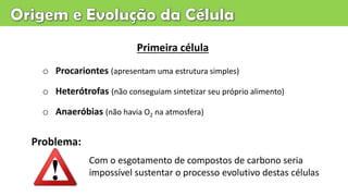 Primeira célula
o Procariontes (apresentam uma estrutura simples)
o Heterótrofas (não conseguiam sintetizar seu próprio alimento)
o Anaeróbias (não havia O2 na atmosfera)
Problema:
Com o esgotamento de compostos de carbono seria
impossível sustentar o processo evolutivo destas células
 