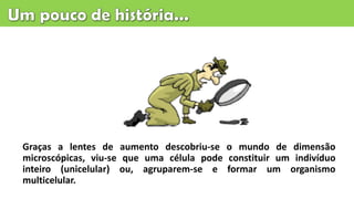 Graças a lentes de aumento descobriu-se o mundo de dimensão
microscópicas, viu-se que uma célula pode constituir um indivíduo
inteiro (unicelular) ou, agruparem-se e formar um organismo
multicelular.
 