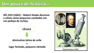 SÉC.XVII (1665) – Robert Hooke descreve
a célula como pequenas cavidades em
um pedaço de cortiça.
diminutivo latino de cella
=
lugar fechado, pequeno cômodo
CÉLULA
 