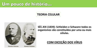 SÉC.XIX (1839): Schleiden e Schwann todos os
organismos são constituídos por uma ou mais
células.
TEORIA CELULAR
COM EXCEÇÃO DOS VÍRUS
 
