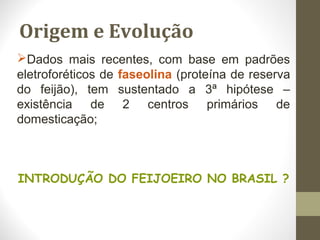 Origem e Evolução 
Dados mais recentes, com base em padrões 
eletroforéticos de faseolina (proteína de reserva 
do feijão), tem sustentado a 3ª hipótese – 
existência de 2 centros primários de 
domesticação; 
INTRODUÇÃO DO FEIJOEIRO NO BRASIL ? 
 