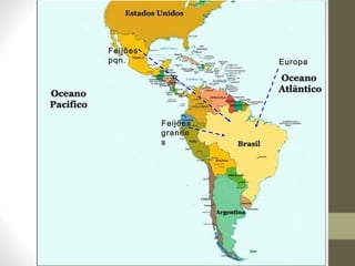 Europa 
Feijões 
pqn. 
Feijões 
grande 
s 
 