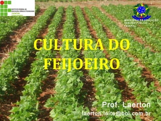 MINISTÉRIO DA EDUCAÇÃO 
SERVIÇO PÚBLICO 
FEDERAL 
CULTURA DO 
FEIJOEIRO 
Prof. Laerton 
laerton.leite@bol.com.br 
 
