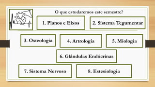 O que estudaremos este semestre?
1. Planos e Eixos
5. Miologia
8. Estesiologia
4. Artrologia
2. Sistema Tegumentar
6. Glândulas Endócrinas
7. Sistema Nervoso
3. Osteologia
 