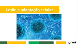 Lesão e adaptação celular
 