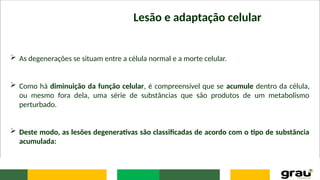 Lesão e adaptação celular
 As degenerações se situam entre a célula normal e a morte celular.
 Como há diminuição da função celular, é compreensível que se acumule dentro da célula,
ou mesmo fora dela, uma série de substâncias que são produtos de um metabolismo
perturbado.
 Deste modo, as lesões degenerativas são classificadas de acordo com o tipo de substância
acumulada:
 