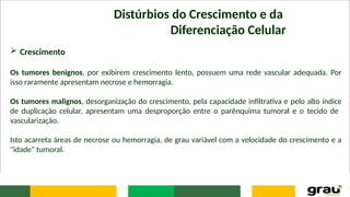 Distúrbios do Crescimento e da
Diferenciação Celular
 Crescimento
Os tumores benignos, por exibirem crescimento lento, possuem uma rede vascular adequada. Por
isso raramente apresentam necrose e hemorragia.
Os tumores malignos, desorganização do crescimento, pela capacidade infiltrativa e pelo alto índice
de duplicação celular, apresentam uma desproporção entre o parênquima tumoral e o tecido de
vascularização.
Isto acarreta áreas de necrose ou hemorragia, de grau variável com a velocidade do crescimento e a
"idade" tumoral.
 