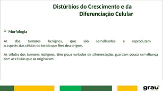 Distúrbios do Crescimento e da
Diferenciação Celular
 Morfologia
As dos tumores benignos, que são semelhantes e reproduzem
o aspecto das células do tecido que lhes deu origem.
As células dos tumores malignos, têm graus variados de diferenciação, guardam pouca semelhança
com as células que as originaram.
 
