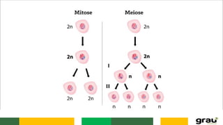 Aula 1 - Patologia e Epidemiologia.PPTXtec