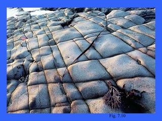 Fig. 7.10 
