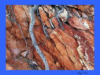 Fig. 7.11 