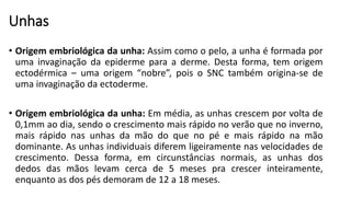 Unhas
• Origem embriológica da unha: Assim como o pelo, a unha é formada por
uma invaginação da epiderme para a derme. Desta forma, tem origem
ectodérmica – uma origem “nobre”, pois o SNC também origina-se de
uma invaginação da ectoderme.
• Origem embriológica da unha: Em média, as unhas crescem por volta de
0,1mm ao dia, sendo o crescimento mais rápido no verão que no inverno,
mais rápido nas unhas da mão do que no pé e mais rápido na mão
dominante. As unhas individuais diferem ligeiramente nas velocidades de
crescimento. Dessa forma, em circunstâncias normais, as unhas dos
dedos das mãos levam cerca de 5 meses pra crescer inteiramente,
enquanto as dos pés demoram de 12 a 18 meses.
 