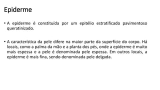 Epiderme
• A epiderme é constituída por um epitélio estratificado pavimentoso
queratinizado.
• A característica da pele difere na maior parte da superfície do corpo. Há
locais, como a palma da mão e a planta dos pés, onde a epiderme é muito
mais espessa e a pele é denominada pele espessa. Em outros locais, a
epiderme é mais fina, sendo denominada pele delgada.
 