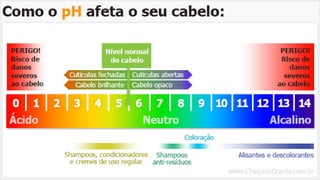 Aula 1 - Pele e Anexos.pdf