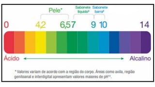 Aula 1 - Pele e Anexos.pdf