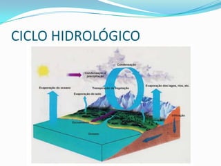 CICLO HIDROLÓGICO
 