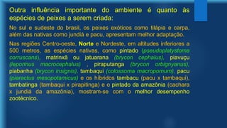 Outra influência importante do ambiente é quanto às
espécies de peixes a serem criada:
No sul e sudeste do brasil, os peixes exóticos como tilápia e carpa,
além das nativas como jundiá e pacu, apresentam melhor adaptação.
Nas regiões Centro-oeste, Norte e Nordeste, em altitudes inferiores a
500 metros, as espécies nativas, como pintado (pseudoplatystoma
corruscans), matrinxã ou jatuarana (brycon cephalus), piavuçu
(leporinus macrocephalus) , piraputanga (brycon orbignyanus),
piabanha (brycon insignis), tambaqui (colossoma macropomum), pacu
(piaractus mesopotamicus) e os híbridos tambacu (pacu x tambaqui),
tambatinga (tambaqui x pirapitinga) e o pintado da amazônia (cachara
x jundiá da amazônia), mostram-se com o melhor desempenho
zootécnico.
 