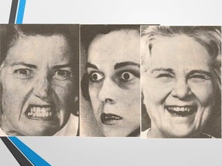 Aula 1   programa de ensino - p a d