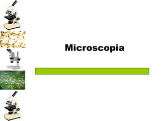 Microscopia
 