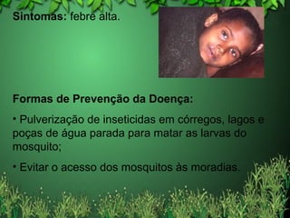 Sintomas: febre alta.
Formas de Prevenção da Doença:
• Pulverização de inseticidas em córregos, lagos e
poças de água parada para matar as larvas do
mosquito;
• Evitar o acesso dos mosquitos às moradias.
 