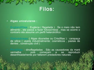 Filos:
• Algas unicelulares :
• Euglenófitas : Euglena ( flagelada ) . Se o meio não tem
alimento , ela passa a fazer fotossíntese , mas se ocorre o
contrario ela assume um perfil heterotrófico .
• Diatomáceas ( Algas douradas ou Crisófitas ) : carapaça
de sílica ( usada industrialmente: cosméticos , pastas de
dentes , construção civil ) .
• Pirrófitas : dinoflageladas . São as causadoras da maré
vermelha , pois começam a se reproduzir
desenfreadamente por faltarem predadores naturais .
 