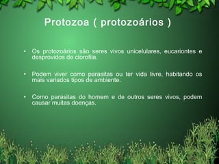 Protozoa ( protozoários )
• Os protozoários são seres vivos unicelulares, eucariontes e
desprovidos de clorofila.
• Podem viver como parasitas ou ter vida livre, habitando os
mais variados tipos de ambiente.
• Como parasitas do homem e de outros seres vivos, podem
causar muitas doenças.
 