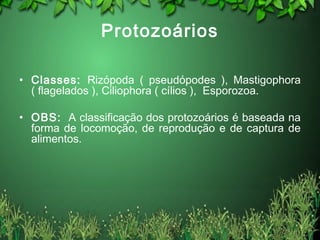 Protozoários
• Classes: Rizópoda ( pseudópodes ), Mastigophora
( flagelados ), Ciliophora ( cílios ), Esporozoa.
• OBS: A classificação dos protozoários é baseada na
forma de locomoção, de reprodução e de captura de
alimentos.
 