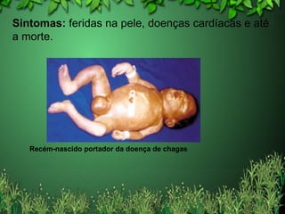 Sintomas:  feridas na pele, doenças cardíacas e até a morte. Recém-nascido portador da doença de chagas 