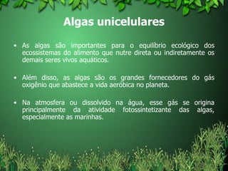 Algas unicelulares As algas são importantes para o equilíbrio ecológico dos ecossistemas do alimento que nutre direta ou indiretamente os demais seres vivos aquáticos.  Além disso, as algas são os grandes fornecedores do gás oxigênio que abastece a vida aeróbica no planeta.  Na atmosfera ou dissolvido na água, esse gás se origina principalmente da atividade fotossintetizante das algas, especialmente as marinhas.  
