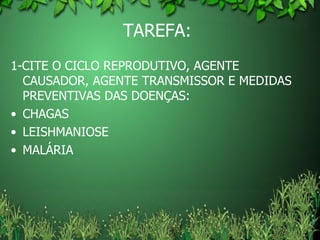 TAREFA:  1-CITE O CICLO REPRODUTIVO, AGENTE CAUSADOR, AGENTE TRANSMISSOR E MEDIDAS PREVENTIVAS DAS DOENÇAS: CHAGAS LEISHMANIOSE MALÁRIA 