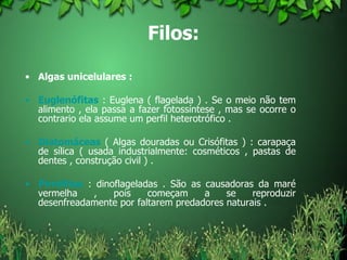 Filos: Algas unicelulares :   Euglenófitas  : Euglena ( flagelada ) . Se o meio não tem alimento , ela passa a fazer fotossíntese , mas se ocorre o contrario ela assume um perfil heterotrófico .  Diatomáceas  ( Algas douradas ou Crisófitas ) : carapaça de sílica ( usada industrialmente: cosméticos , pastas de dentes , construção civil ) .  Pirrófitas  : dinoflageladas . São as causadoras da maré vermelha , pois começam a se reproduzir desenfreadamente por faltarem predadores naturais .  