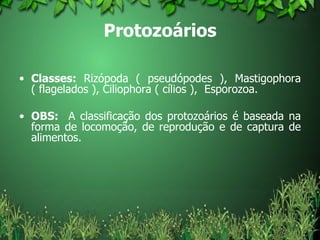 Protozoários Classes:  Rizópoda ( pseudópodes ), Mastigophora ( flagelados ), Ciliophora ( cílios ),  Esporozoa.  OBS:   A classificação dos protozoários é baseada na forma de locomoção, de reprodução e de captura de alimentos.  