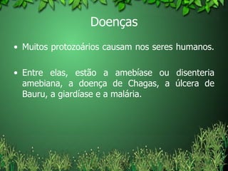 Doenças Muitos protozoários causam nos seres humanos.  Entre elas, estão a amebíase ou disenteria amebiana, a doença de Chagas, a úlcera de Bauru, a giardíase e a malária.  
