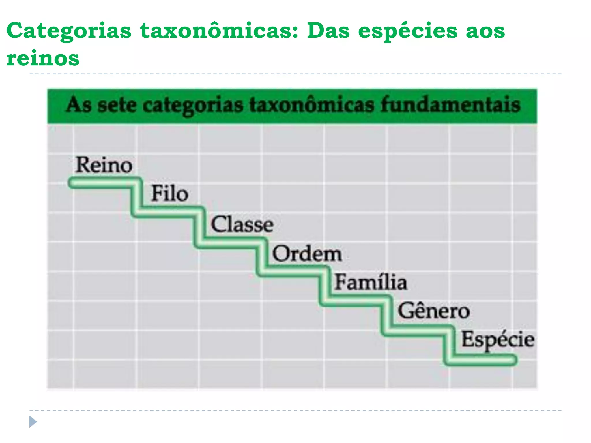 Aula 1 sistema de classificação dos seres vivos | PDF