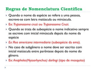 Regras de Nomenclatura Cientifica
 Quando o nome da espécie se refere a uma pessoa,
escreve-se com letra maiúscula ou minúscula.
 Ex: Trypanosoma cruzi ou Trypanosoma Cruzi.
 Quando se trata de subespécie o nome indicativo sempre
se escreve com inicial minúscula depois do nome da
espécie
 Ex: Rea americana intermediaria (subespécie da ema).
 No caso de subgênero o nome deve ser escrito com
inicial maiúscula entre parêntese depois do nome do
gênero.
 Ex: Anopheles(Nyssorhynchus) darlingi (tipo de mosquito)
 