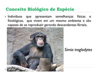 Conceito Biológico de Espécie
 Indivíduos que apresentam semelhanças físicas e
fisiológicas, que vivem em um mesmo ambiente e são
capazes de se reproduzir gerando descendentes férteis.
Simia troglodytes
 