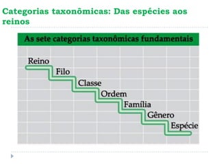 Categorias taxonômicas: Das espécies aos
reinos
 