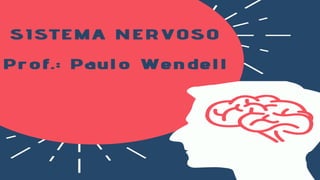 Sistema Nervoso
PROF.: PAULO WENDELL
 
