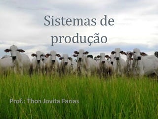 Sistemas de
produção
Prof.: Thon Jovita Farias
 
