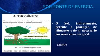SOL: FONTE DE ENERGIA
• O Sol, indiretamente,
permite a produção de
alimentos e do ar necessário
aos seres vivos em geral.
COMO?
 