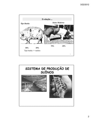 3/22/2012




                            Evolução ...
                                           Suino Moderno
Tipo Banha




                                      70%            30%
     50%           50%
    Tipo banha >> tardios
                                                           3




     SISTEMA DE PRODUÇÃO DE
            SUÍNOS




                                                                      2
 